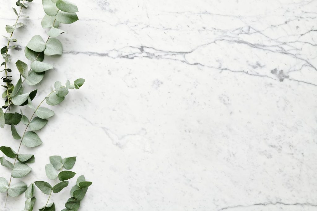 Flat lay of eucalyptus branches on a marble surface with ample copyspace.